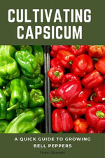 Cultivating Capsicum Cultivating Capsicum