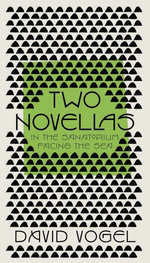 Two Novellas: In the Sanatorium and Facing the Sea