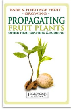 Propagating Fruit Plants