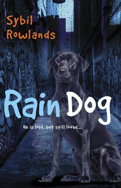 Rain Dog