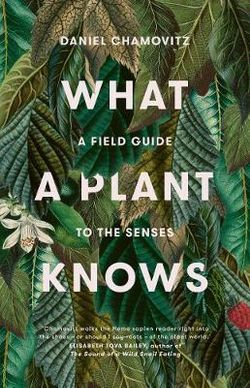 What a Plant Knows