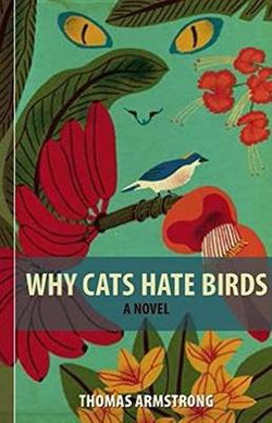 Why Cats Hate Birds