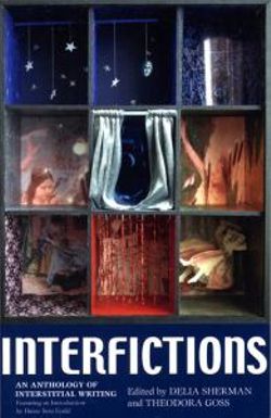 Interfictions