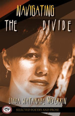 Navigating the Divide