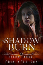 Shadow Burn