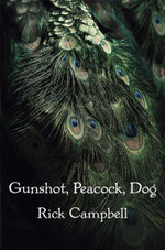Gunshot, Peacock, Dog