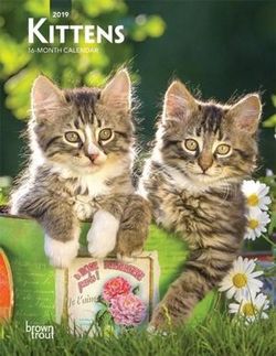 Kittens 2019 Weekly Engagement Calendar