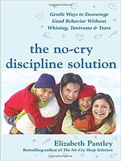 The No-Cry Discipline Solution