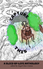 Capture This - A Slice-of-Life Anthology