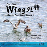 On the Wing 翅膀 - North American Birds 7