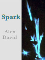 Spark
