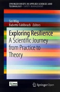Exploring Resilience