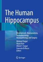 The Human Hippocampus