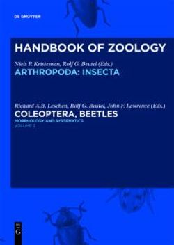 Morphology and Systematics (Elateroidea, Bostrichiformia, Cucujiformia partim) Morphology and Systematics (Elateroidea, Bostrichiformia, Cucujiformia partim)