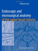 Endoscopic and microsurgical anatomy of the upper basal cisterns