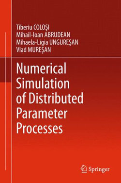 Numerical Simulation of Distributed Parameter Processes