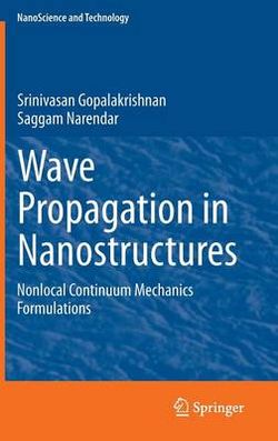 Wave Propagation in Nanostructures