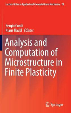 Analysis and Computation of Microstructure in Finite Plasticity Analysis and Computation of Microstructure in Finite Plasticity