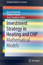 Investment Strategy in Heating and CHP