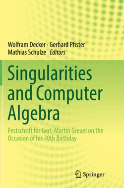 Singularities and Computer Algebra