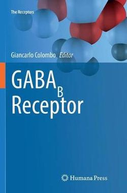 GABAB Receptor GABAB Receptor