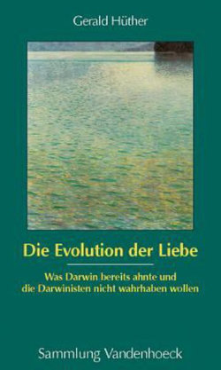Die Evolution Der Liebe