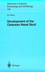 Development of the Cetacean Nasal Skull