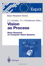 Vision as Process