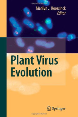 Plant Virus Evolution