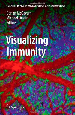 Visualizing Immunity