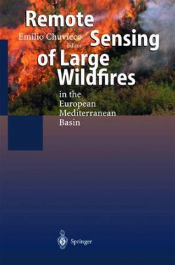 Remote Sensing of Large Wildfires