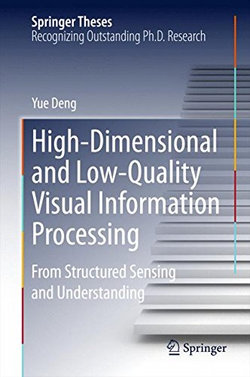 High-Dimensional and Low-Quality Visual Information Processing