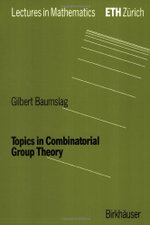 Topics in Combinatorial Group Theory