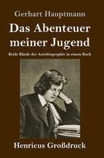 Das Abenteuer meiner Jugend (Grossdruck)