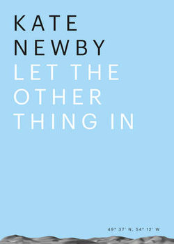 Kate Newby - Let the Other Thing in