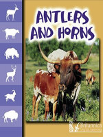 Antlers and Horns