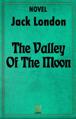 The Valley Of The Moon