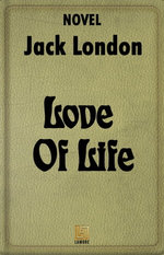 Love Of Life
