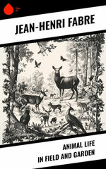 Animal Life in Field and Garden