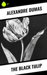 The Black Tulip