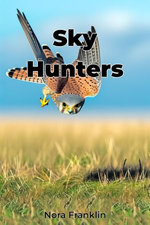 Sky Hunters