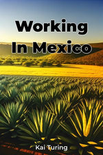 Working In Mexico