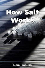 How Salt Works
