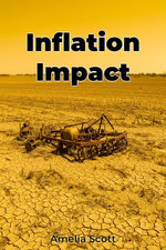Inflation Impact