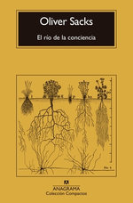 Rio de la Conciencia, El