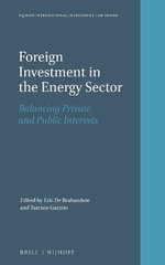 Foreign Investment in the Energy Sector