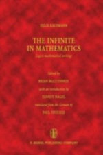 The Infinite in Mathematics