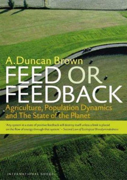 Feed or Feedback