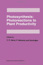 Photosynthesis: Photoreactions to Plant Productivity