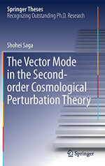 The Vector Mode in the Second-order Cosmological Perturbation Theory